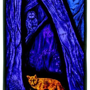 Midnight Fox