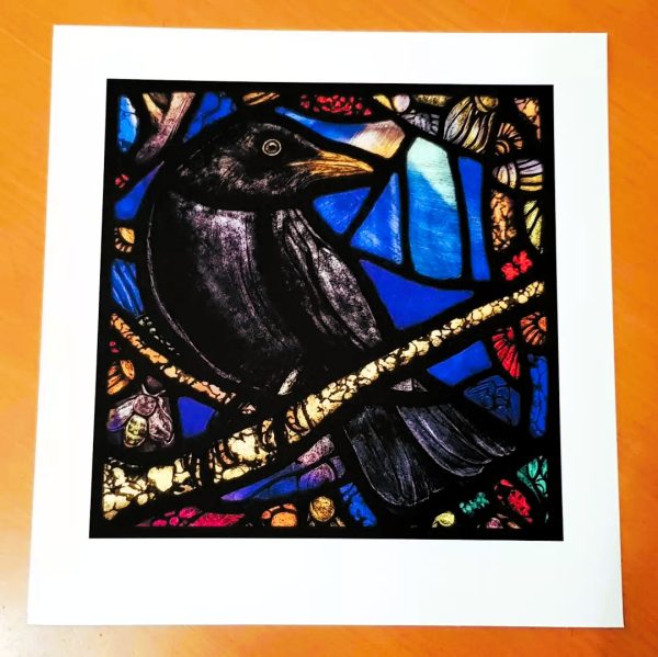 Blackbird - Print - Image 2
