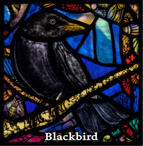 Your selection of FIVE Art Cards - Image 9