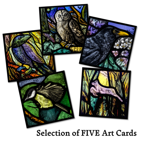 Selection of 5 cards
