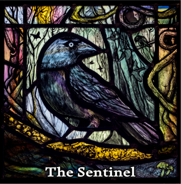 Your selection of FIVE Art Cards - Image 4