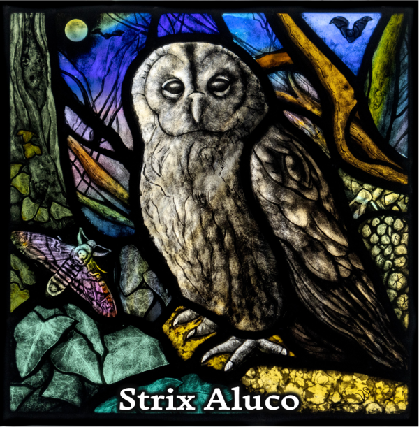 Your selection of FIVE Art Cards - Image 3