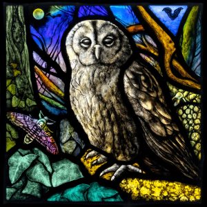 Strix Aluco (Nocturne)