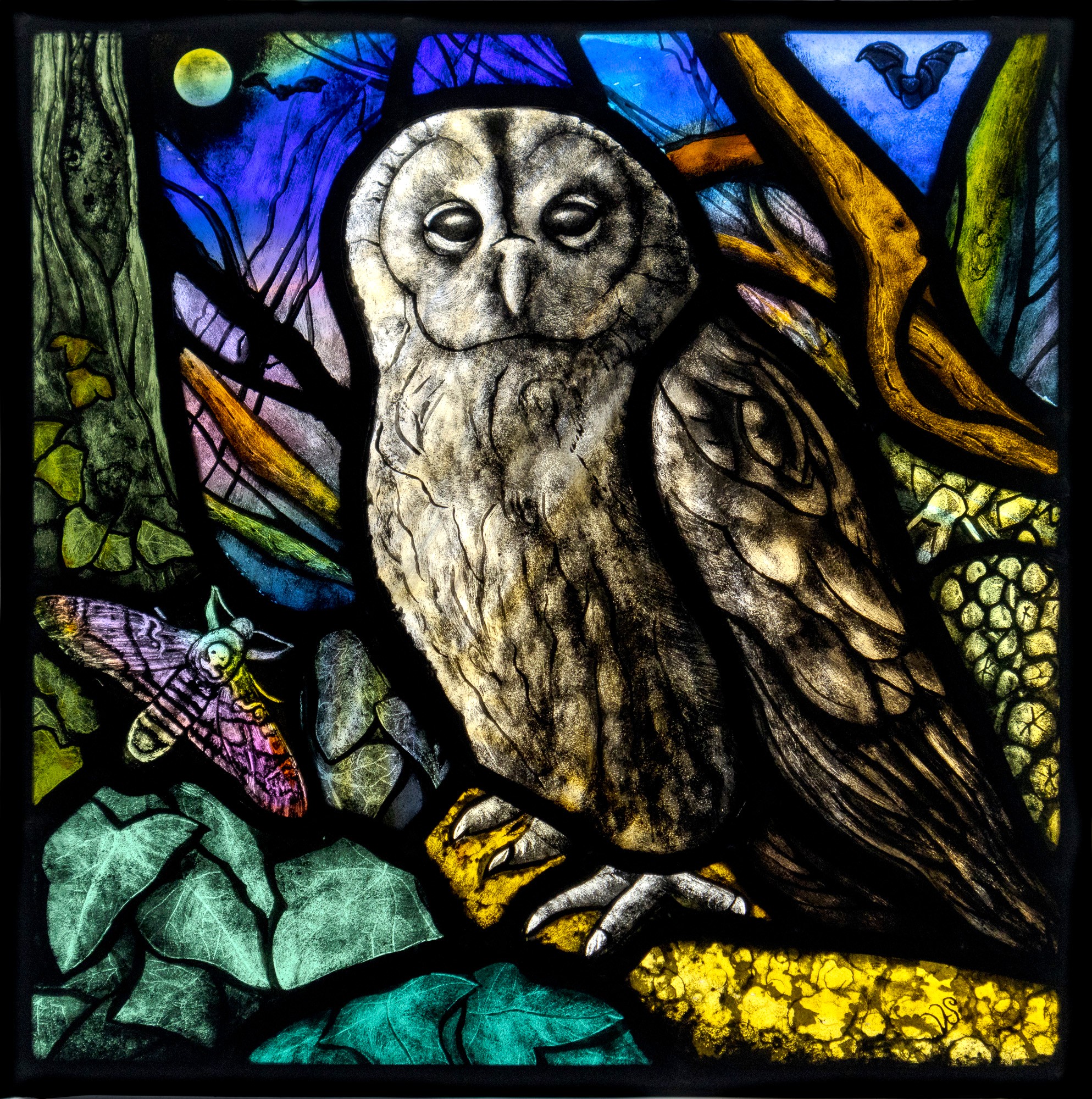 Strix Aluco (Nocturne)